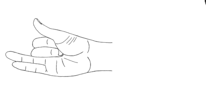 Line drawing of a hand held in vishnu mudra