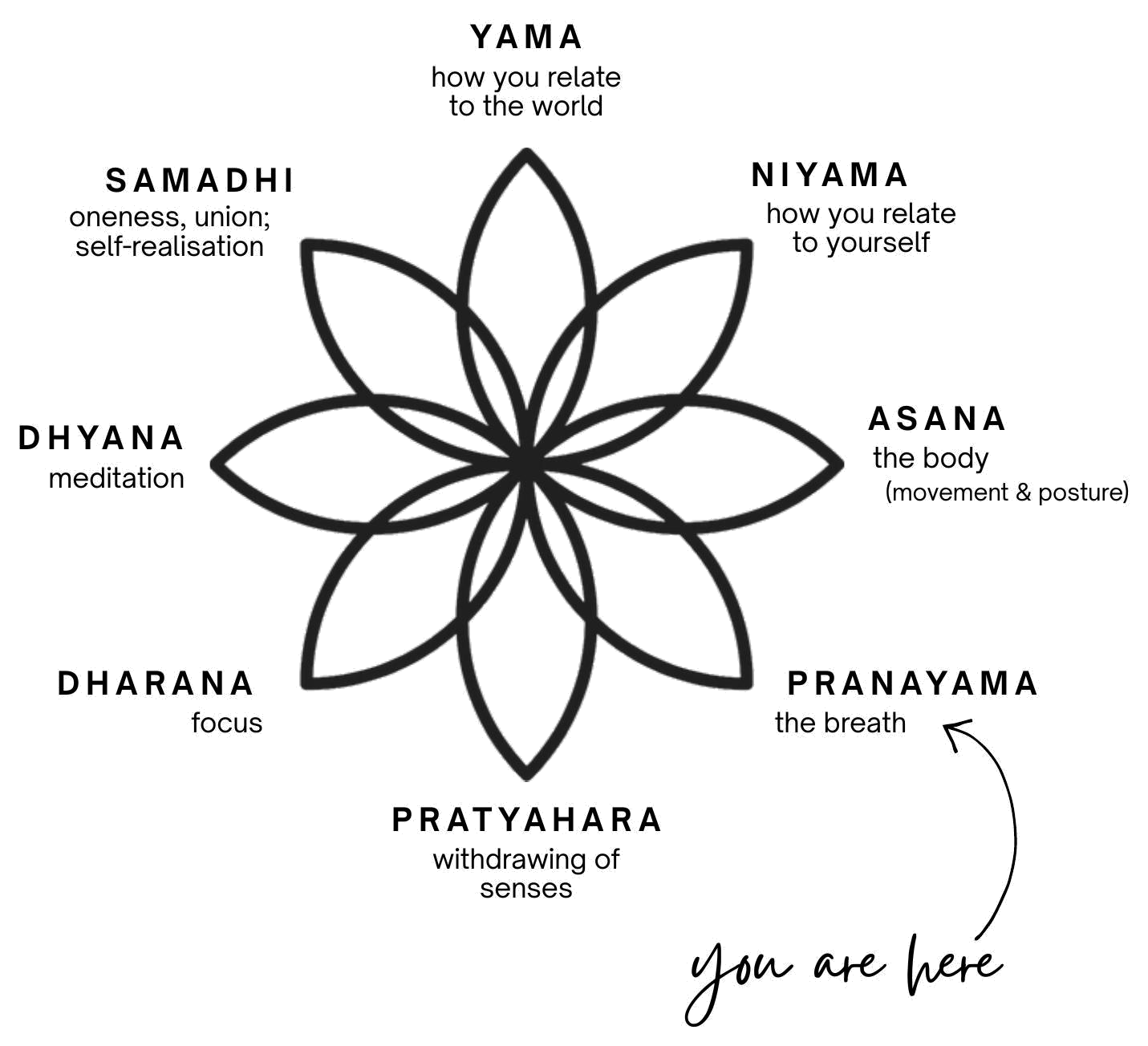 Diagram of Patanjali's eight limbs of yoga: yama, niyama, asana, pranayama, pratyahara, dharana, dhyana and samadhi, with 'you are here' pointing to pranayama
