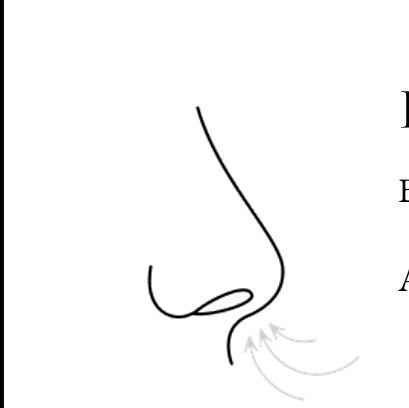 Line diagram of a nose with arrows showing air drawn inward